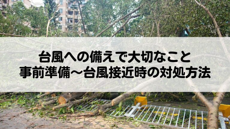 台風への備えで大切なこととは